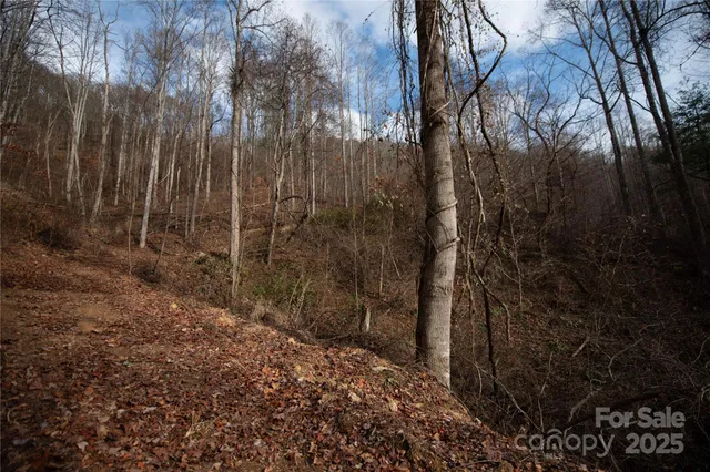 $249,000 | ### Grapevine Road, Marshall, NC 28753