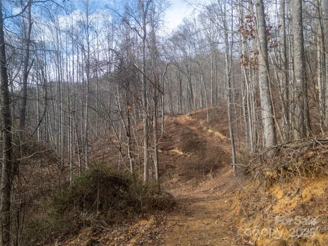 $249,000 | ### Grapevine Road, Marshall, NC 28753