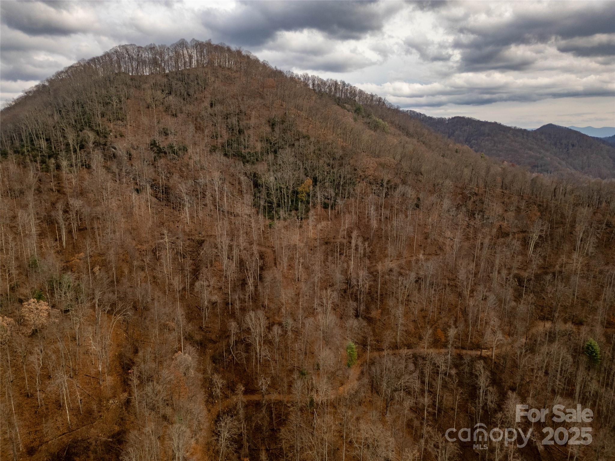 ### Grapevine Road Marshall, NC 28753 - Photo 3 of 27