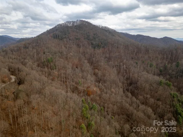 a view of a house with a mountain and a forest
