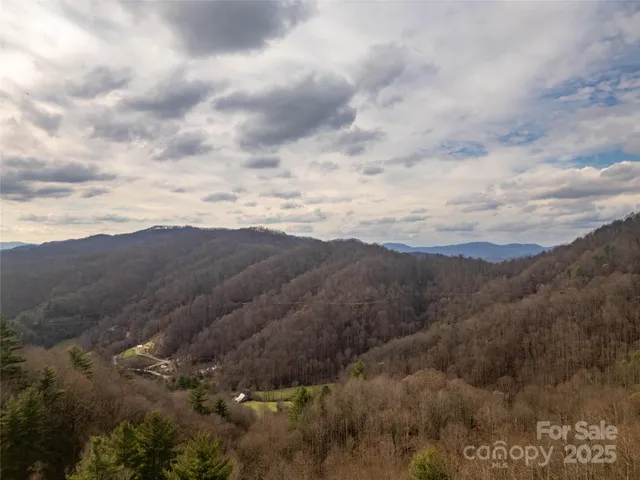 a view of backyard with large trees