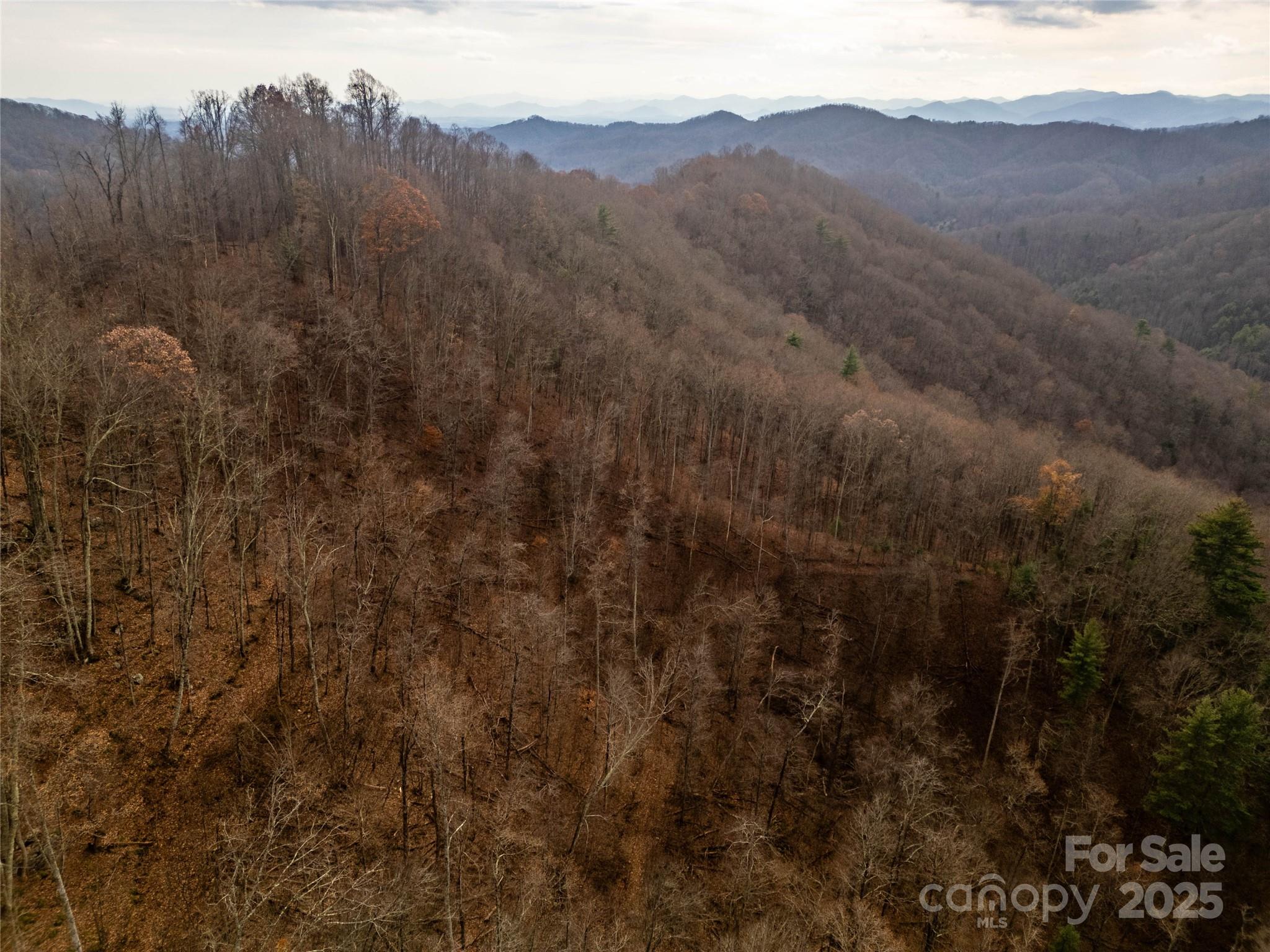 ### Grapevine Road Marshall, NC 28753 - Photo 6 of 27 a view of a house with a mountain and a forest