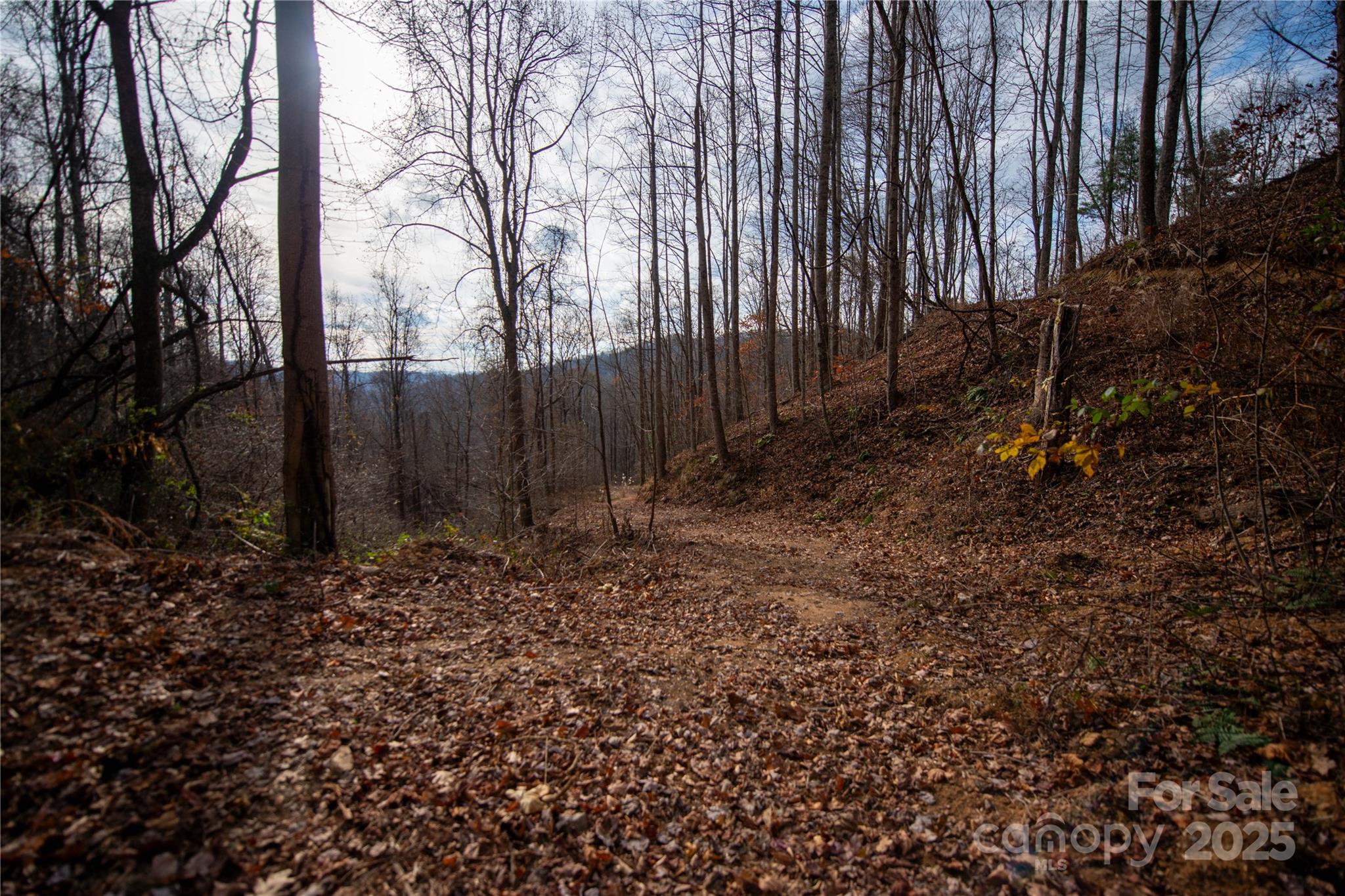 ### Grapevine Road Marshall, NC 28753 - Photo 8 of 27 a view of a backyard of the house