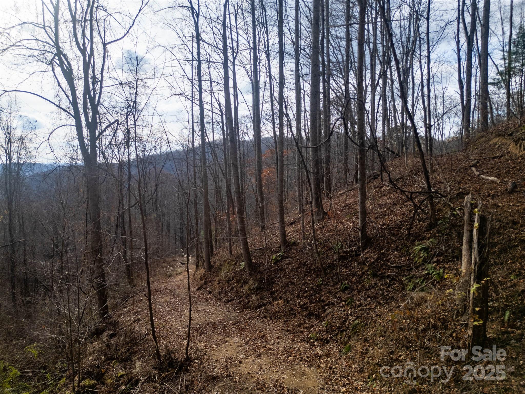 ### Grapevine Road Marshall, NC 28753 - Photo 9 of 27 a view of a backyard