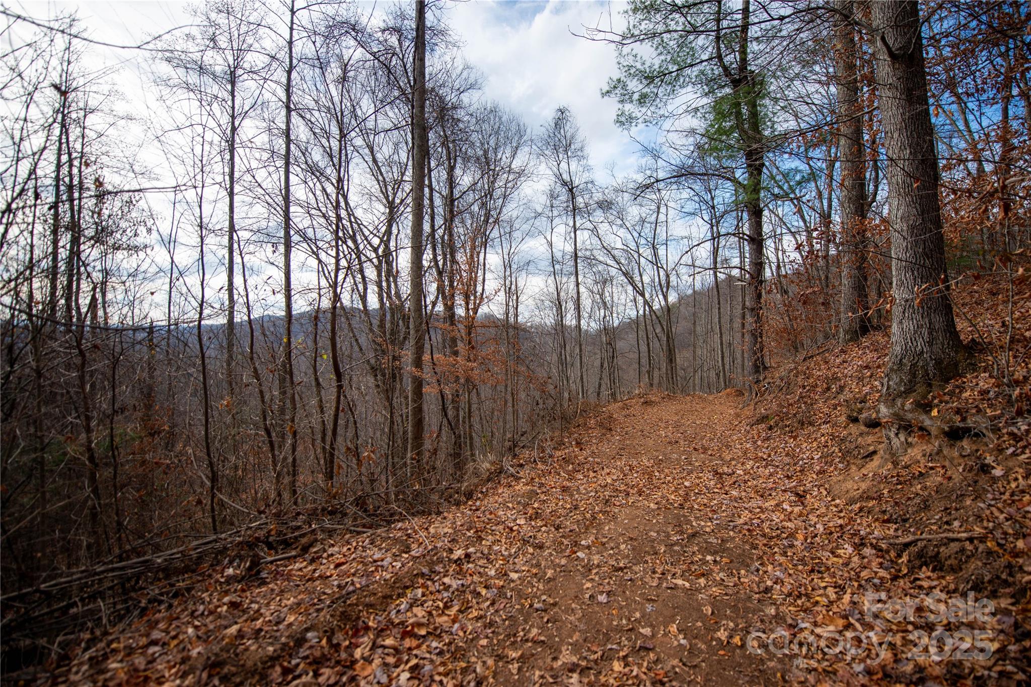 ### Grapevine Road Marshall, NC 28753 - Photo 10 of 27 a view of a backyard with trees