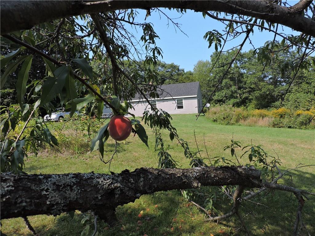 216 Gray Meadow Road Orland, ME 04472 - Photo 15 of 24 Photo