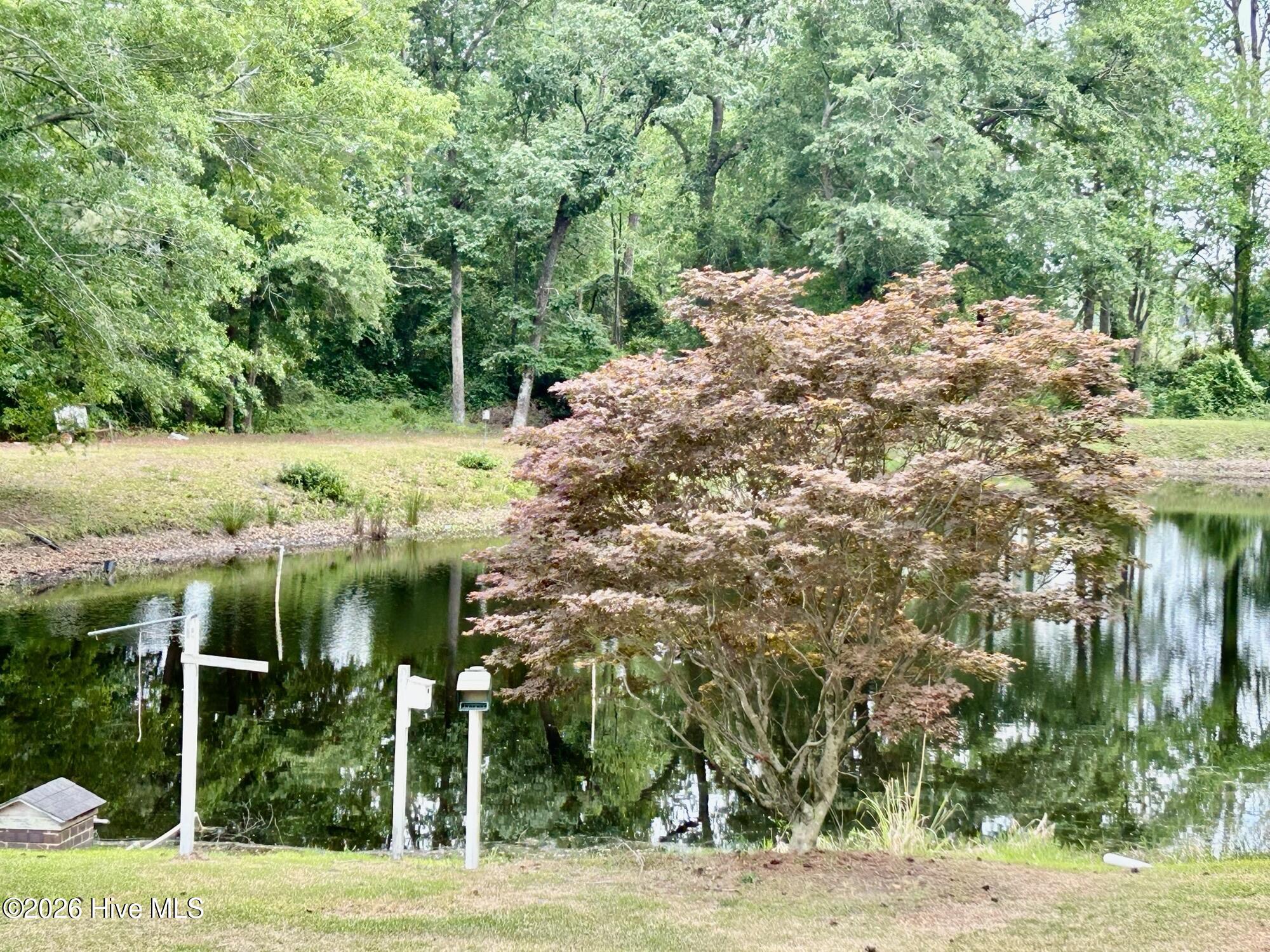 397 Johns Road Maxton, NC 28364 - Photo 21 of 32 Pond
