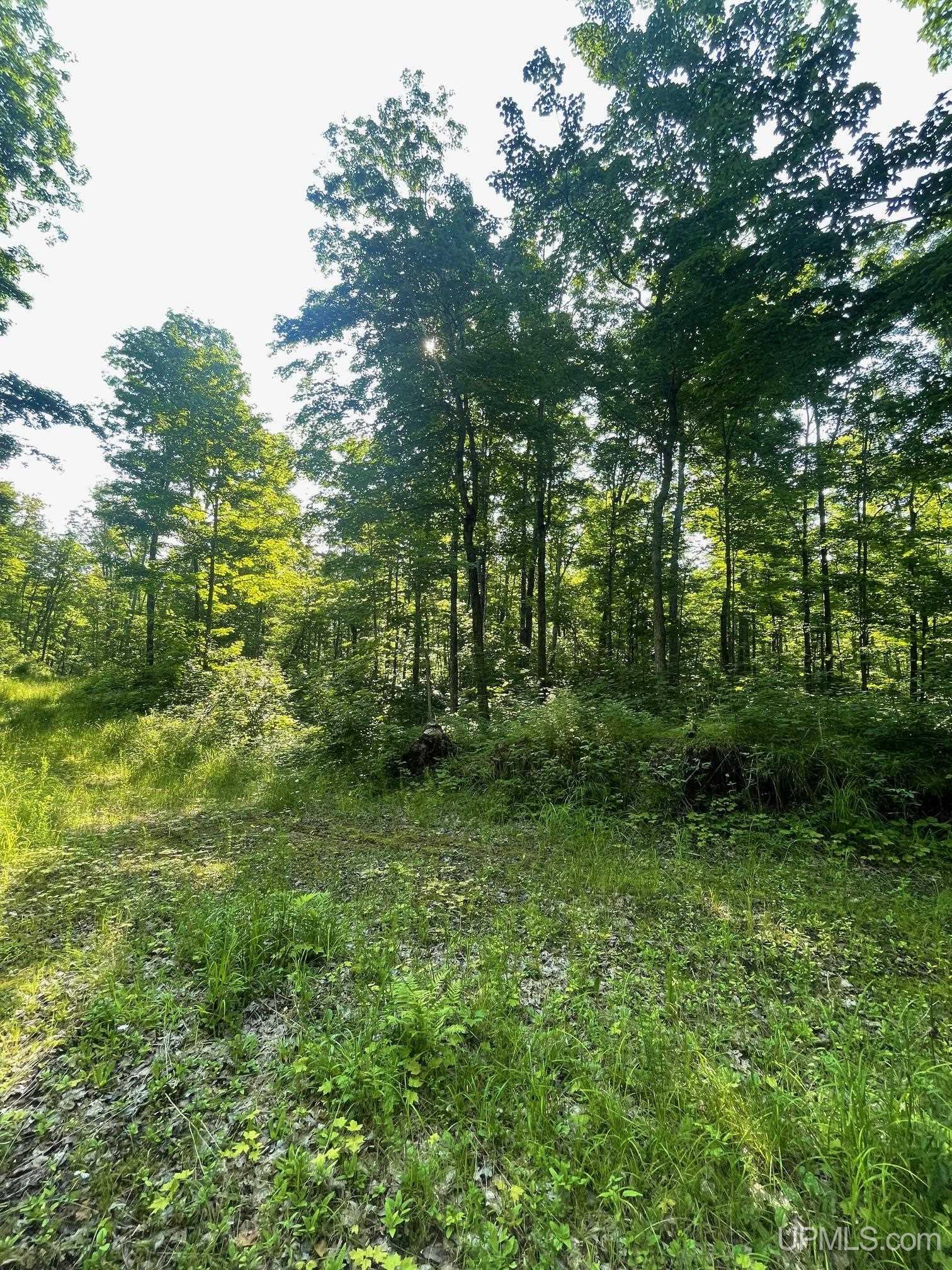 Tbd A Off Gay Road Lake Linden, MI 49945 - Photo 8 of 15