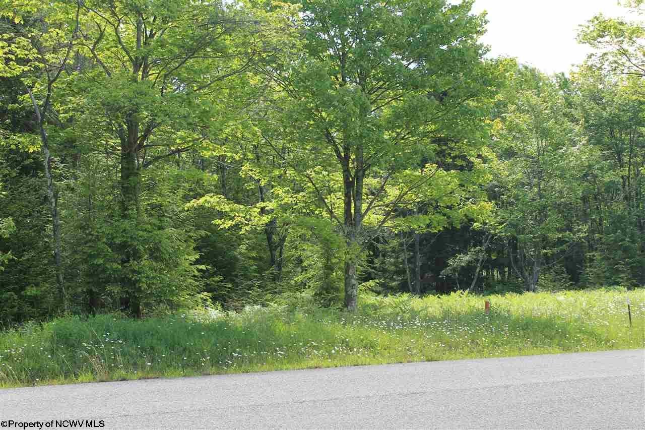64-venice Tuscan Ridge Road Davis, WV 26260 - Photo 2 of 3 Gallery Image 2