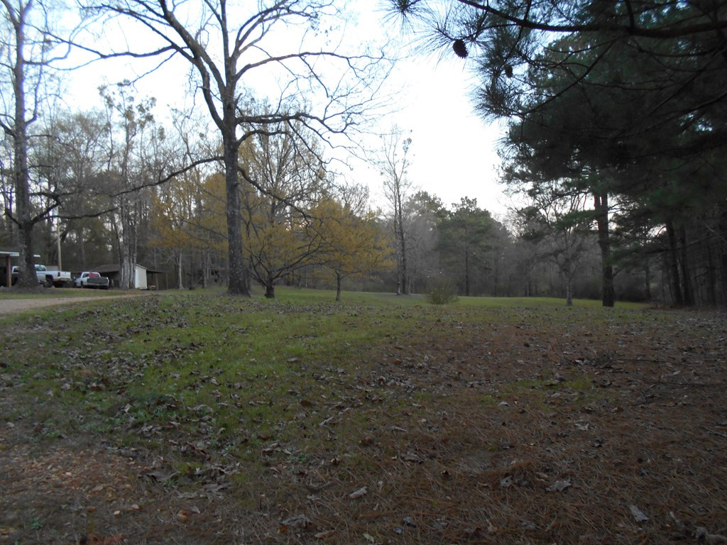 890 New Hope Road Meadville, MS 39653 - Photo 3 of 16 Photo 3