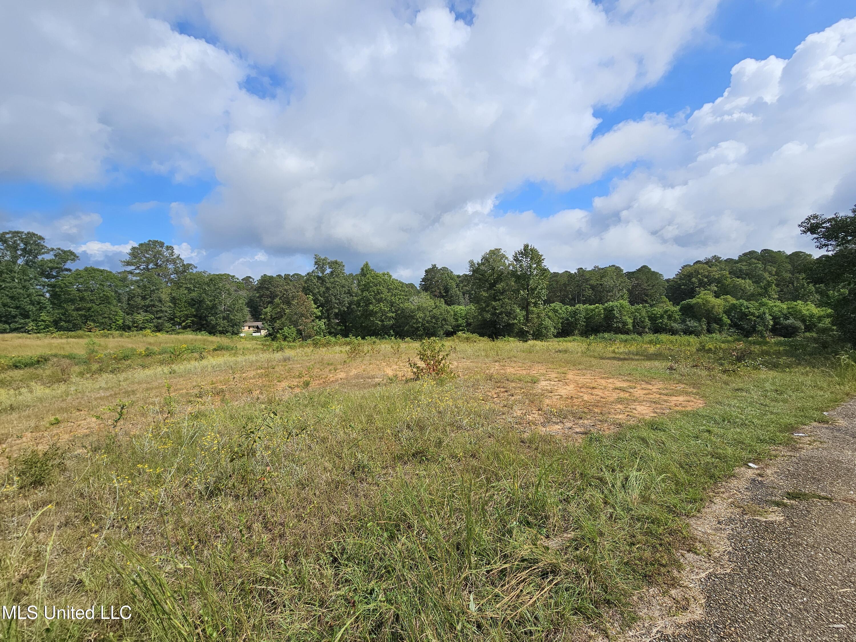 923 Jeffery Drive Laurel, MS 39440 - Photo 2 of 8 first
