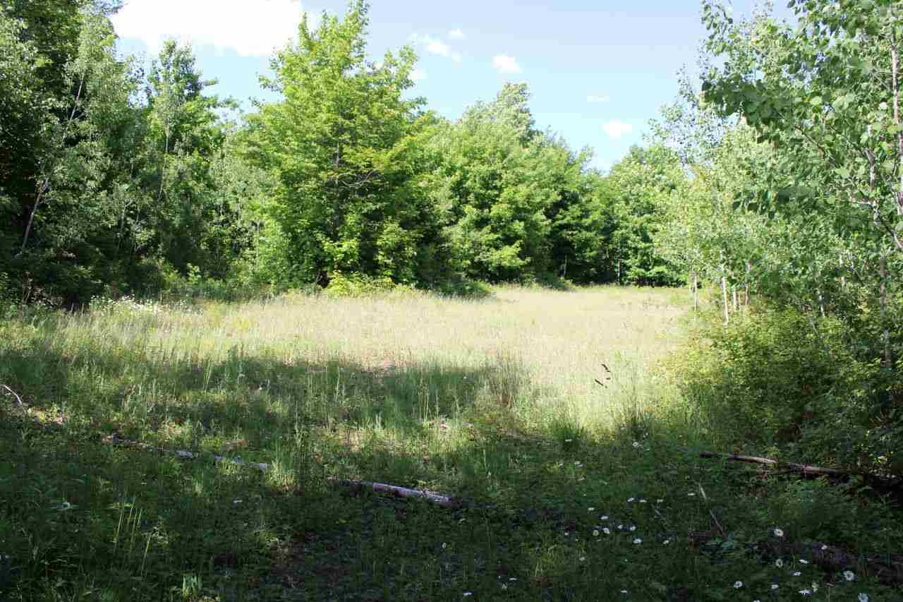 4663 Soderquist Road Mancelona, MI 49659 - Photo 46 of 60 1887098-46.JPG