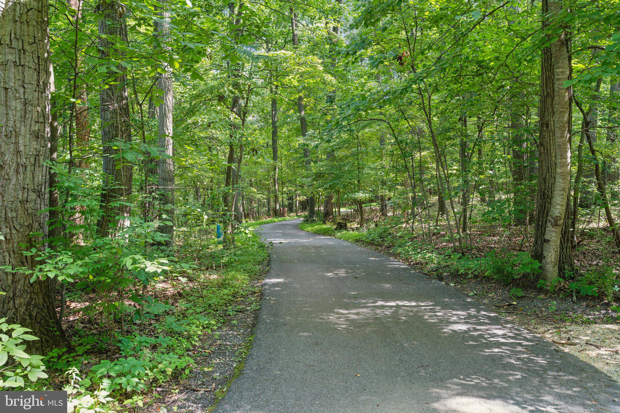4840 Buffalo Road Mount Airy, MD 21771 - Photo 98 of 112 Driveway