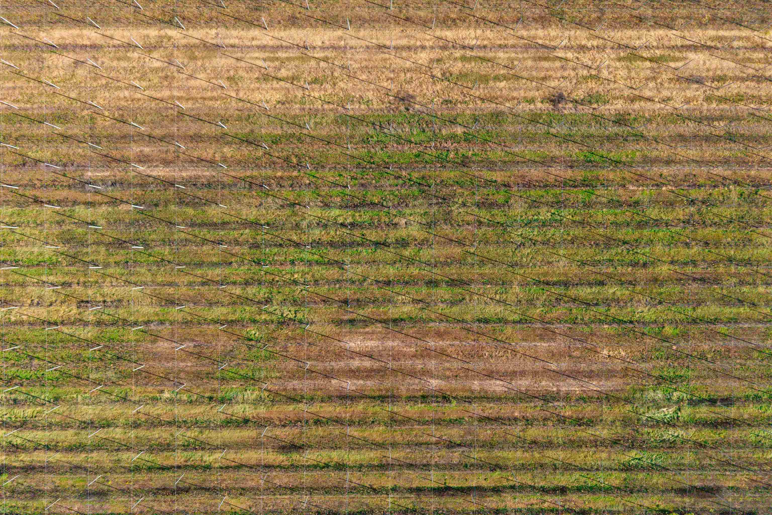 N4085 Cranberry Road Warrens, WI 54666 - Photo 12 of 30