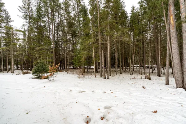 $509,999 | 4109 Buttercup Lane Northwest, Solway, MN 56678