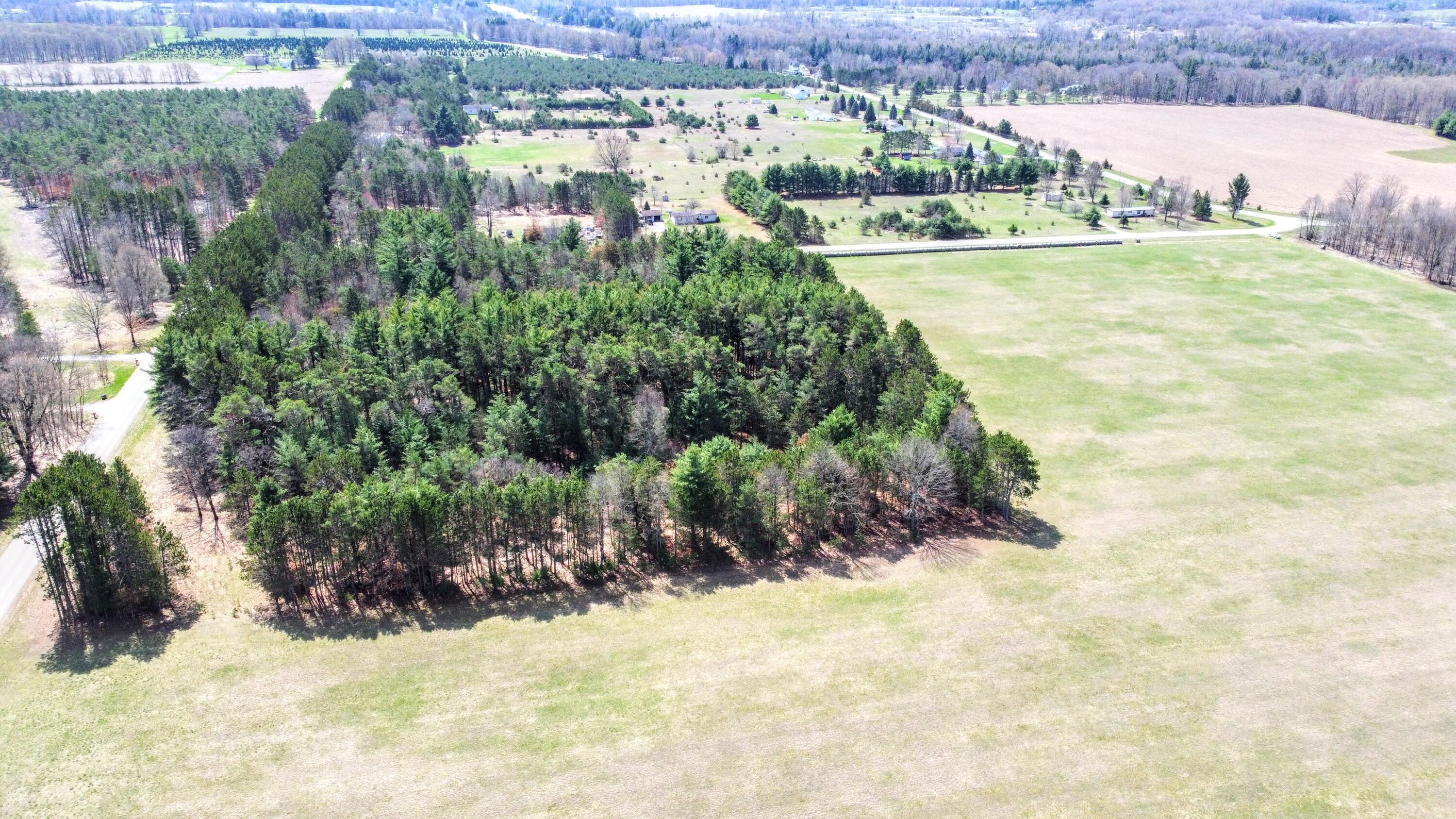 21 21 Mile Road Big Rapids, MI 49307 - Photo 4 of 8 dji_fly_20260417_125856_314_177644516112