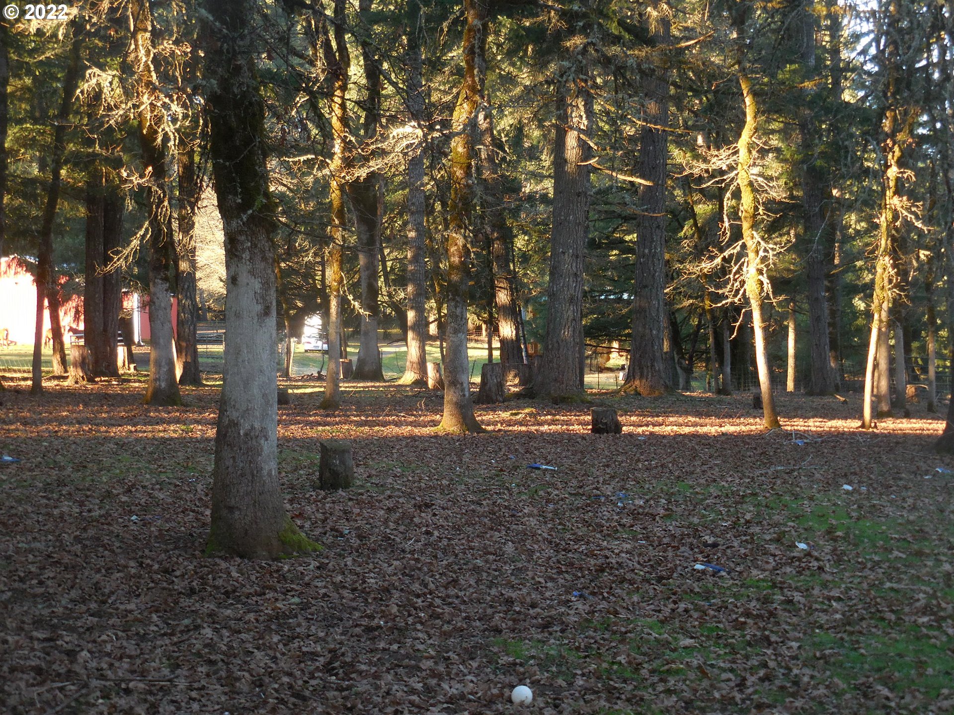 18480 Falls City Road Dallas, OR 97338 - Photo 6 of 32 a view of outdoor space with trees