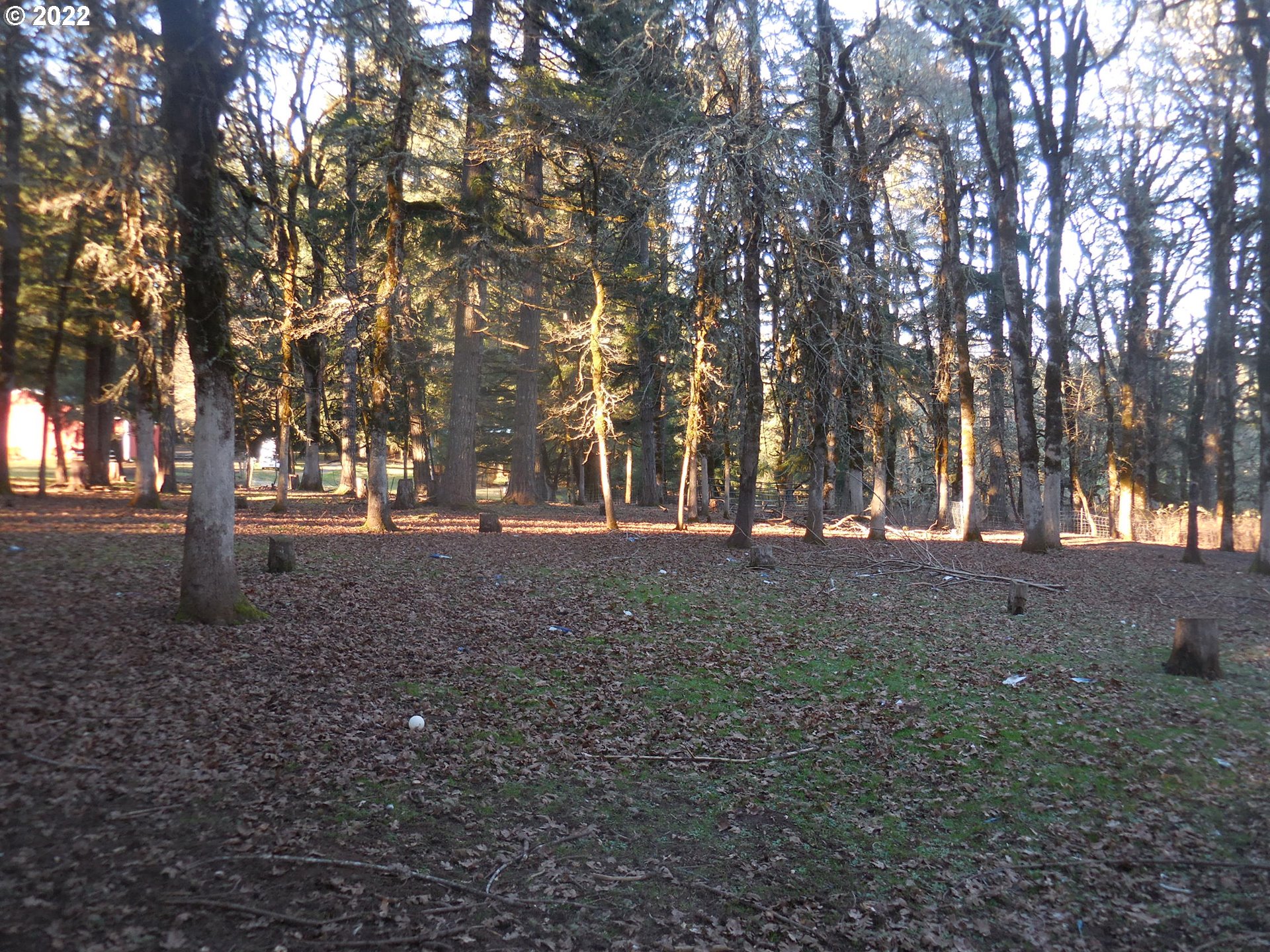 18480 Falls City Road Dallas, OR 97338 - Photo 8 of 32 a view of outdoor space with lots of trees