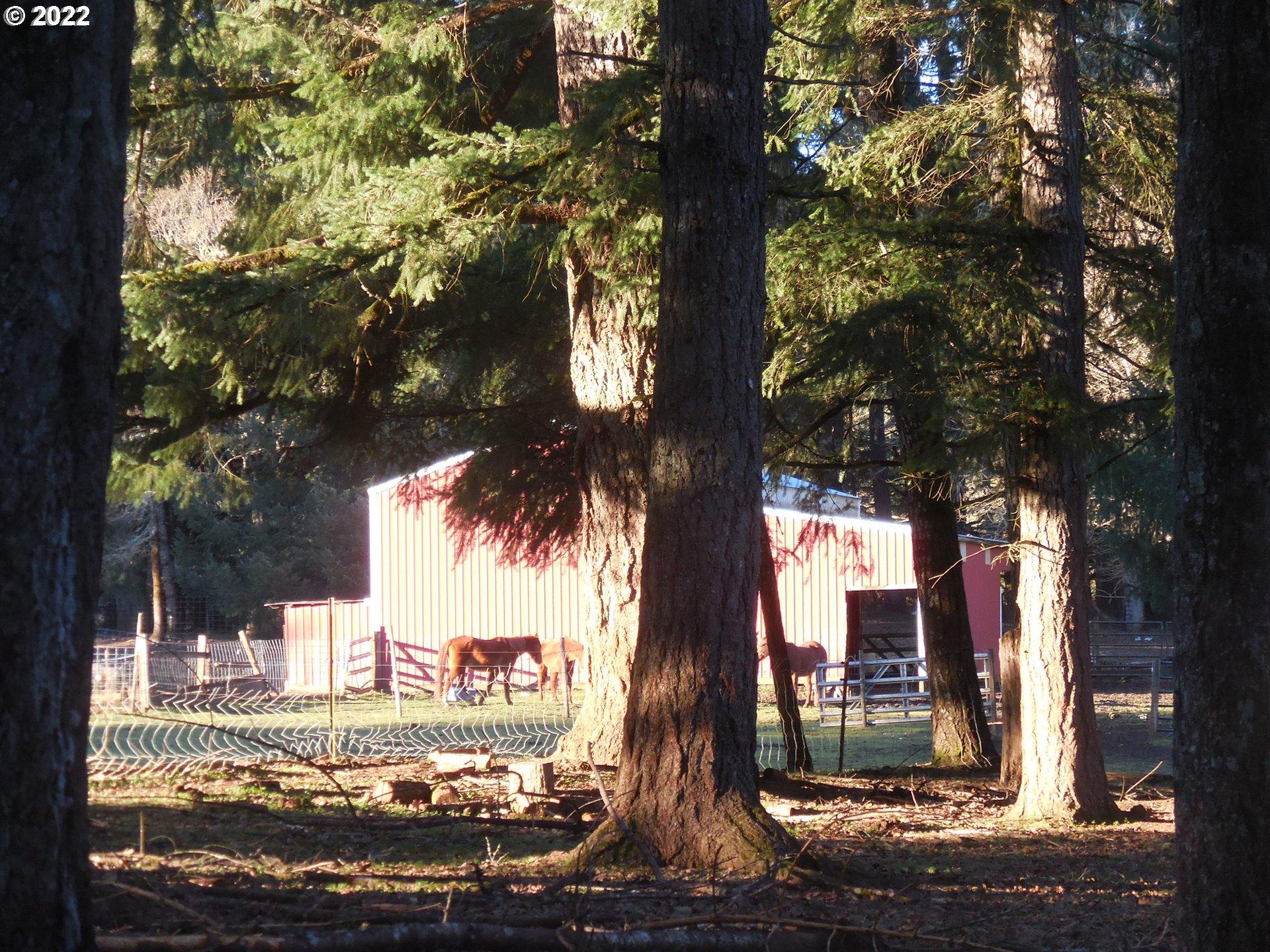 18480 Falls City Road Dallas, OR 97338 - Photo 9 of 32 a view of a yard with street
