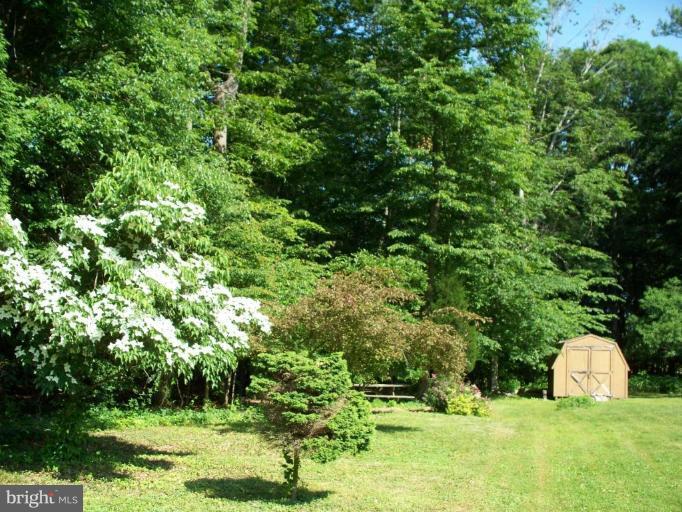 171 Middlecroft Road Elkton, MD 21921 - Photo 19 of 20 BACK YARD WITH SHED