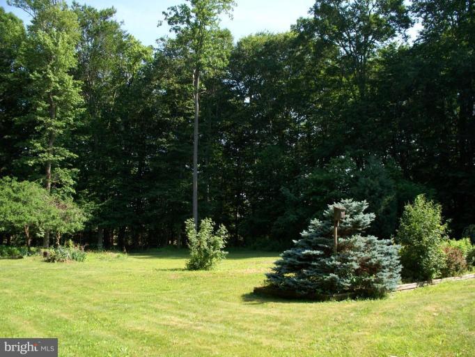 171 Middlecroft Road Elkton, MD 21921 - Photo 20 of 20 VIEW OF WOODLAND