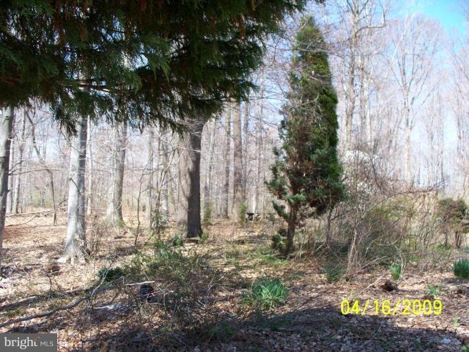 171 Middlecroft Road Elkton, MD 21921 - Photo 3 of 20 Exterior #3