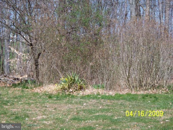 171 Middlecroft Road Elkton, MD 21921 - Photo 4 of 20 Exterior #4