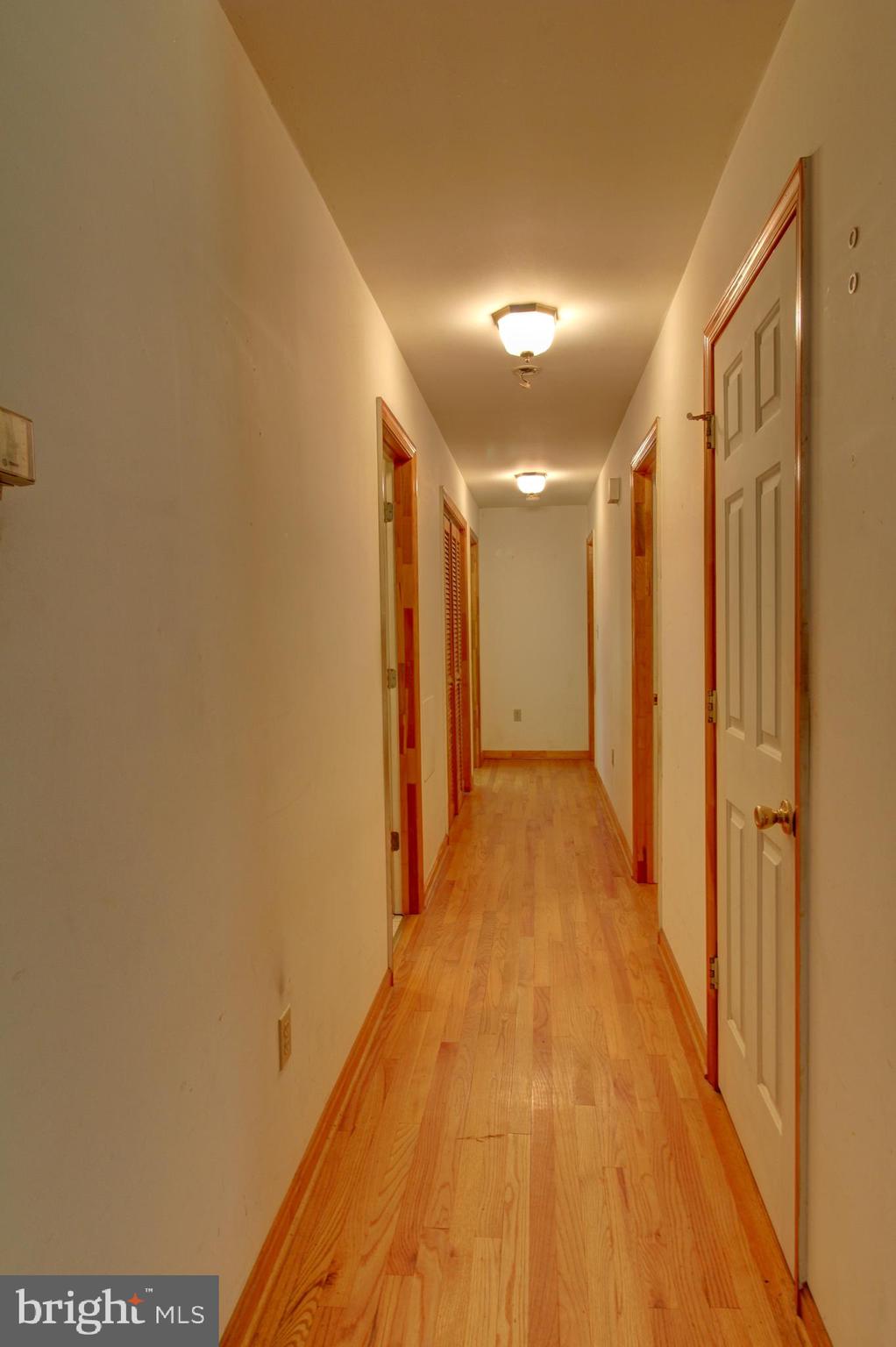 669 Gid Brown Hollow Road Washington, VA 22747 - Photo 14 of 54 Main hallway to bedrooms