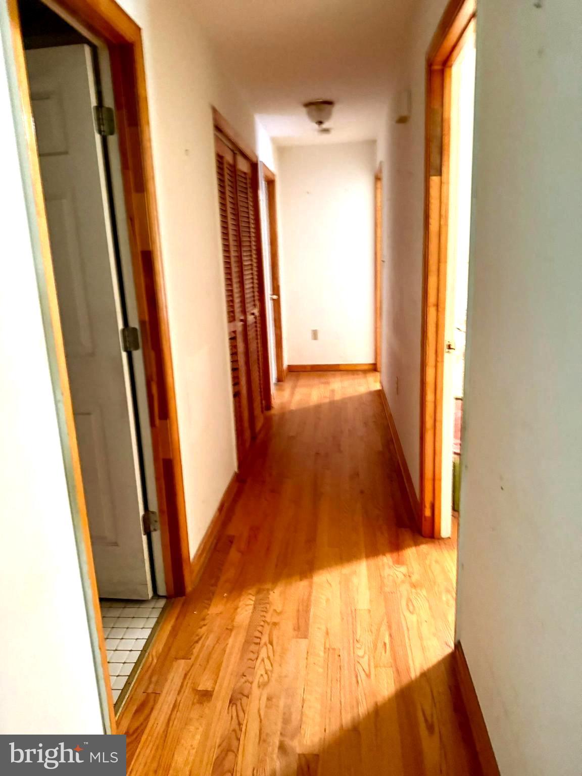 669 Gid Brown Hollow Road Washington, VA 22747 - Photo 15 of 54 Wood floors on main level