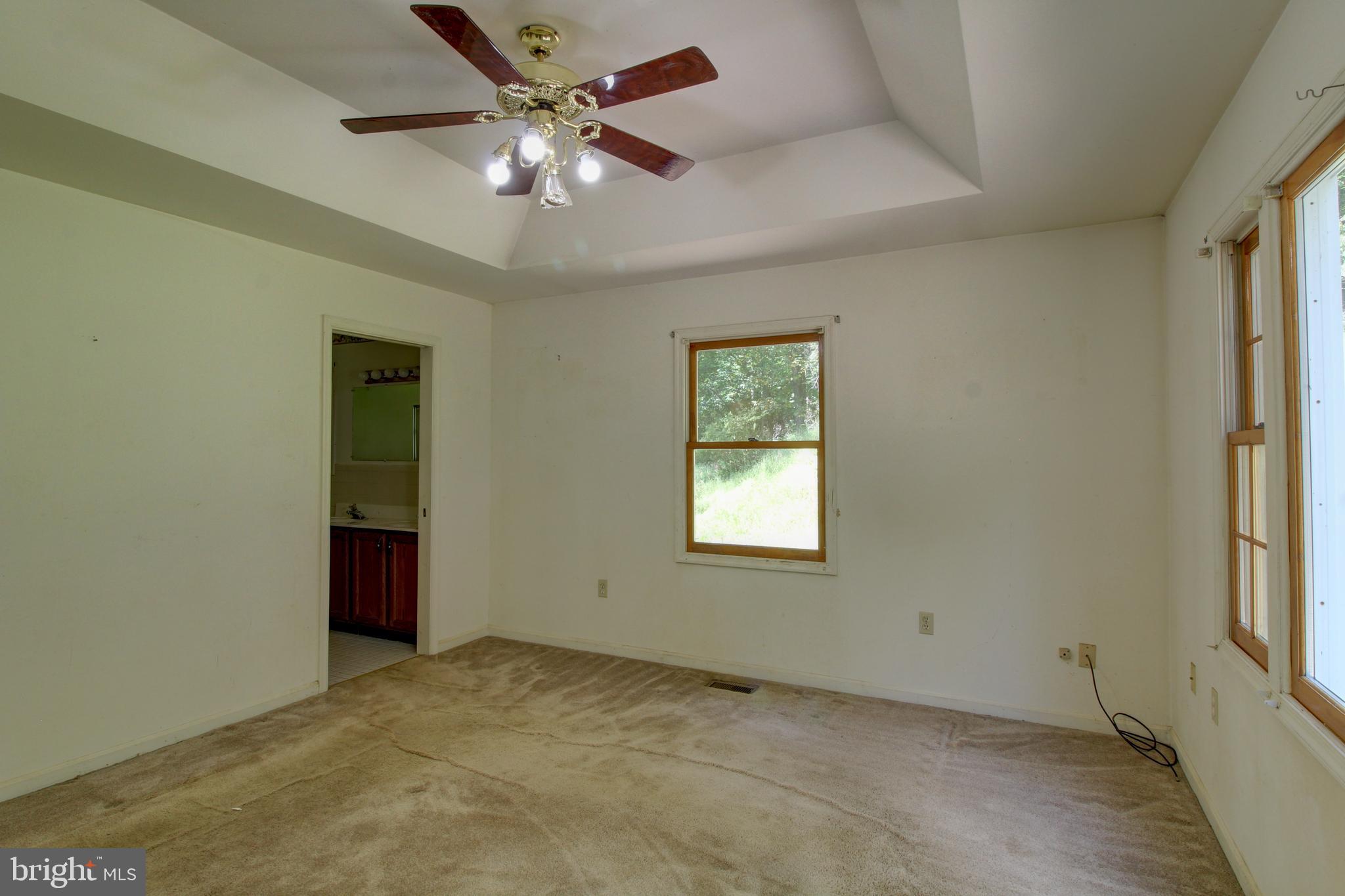 669 Gid Brown Hollow Road Washington, VA 22747 - Photo 19 of 54 Primary bedroom with tray ceiling
