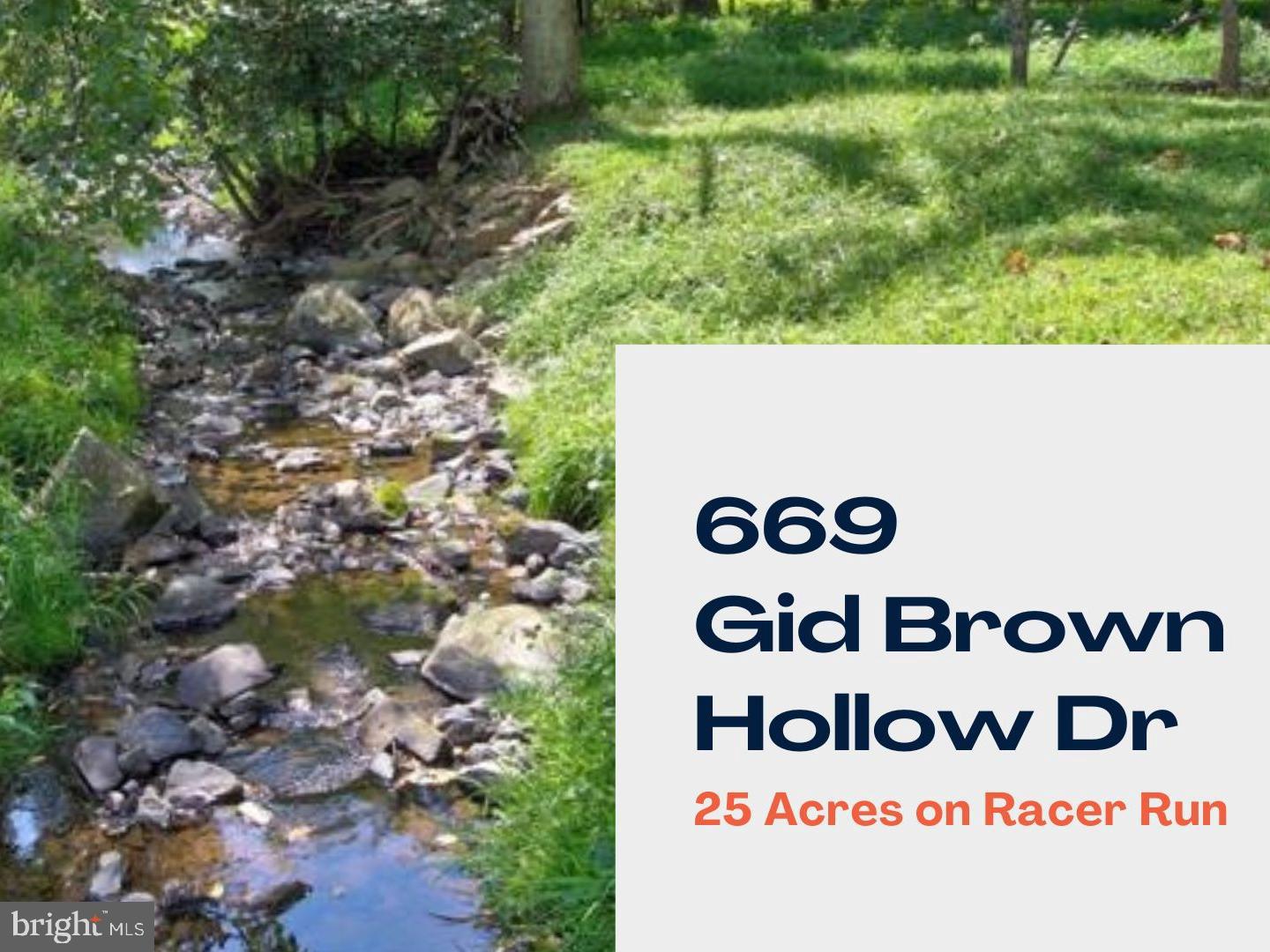 669 Gid Brown Hollow Road Washington, VA 22747 - Photo 2 of 54 Racer Run - a clear, rocky stream that sparkles