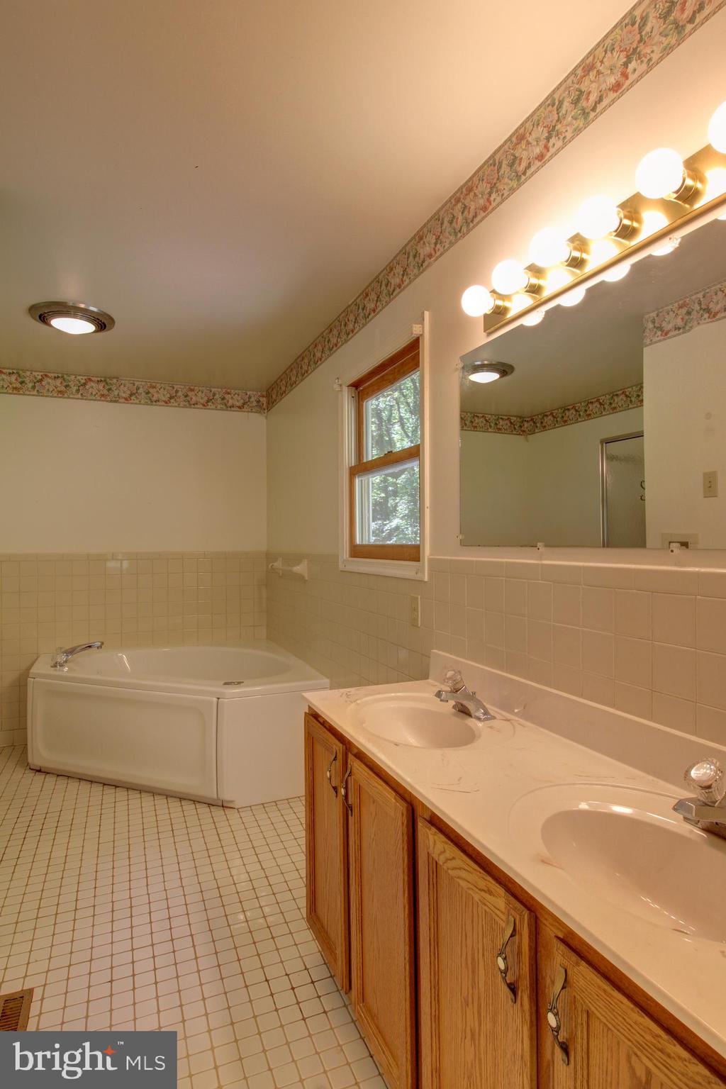 669 Gid Brown Hollow Road Washington, VA 22747 - Photo 21 of 54 Large primary bath features a double vanity