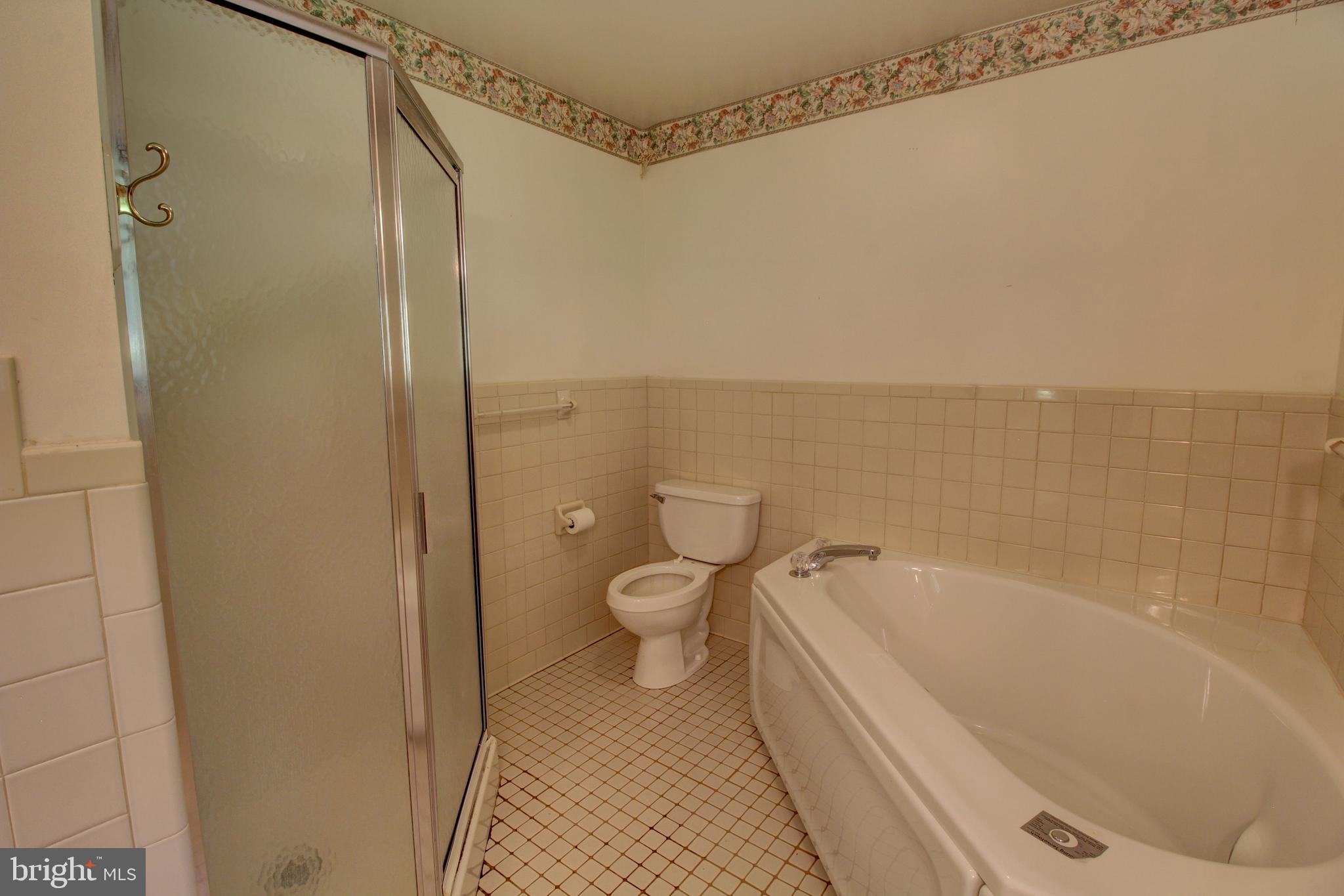 669 Gid Brown Hollow Road Washington, VA 22747 - Photo 22 of 54 Primary bath has a soaking tub and separate shower