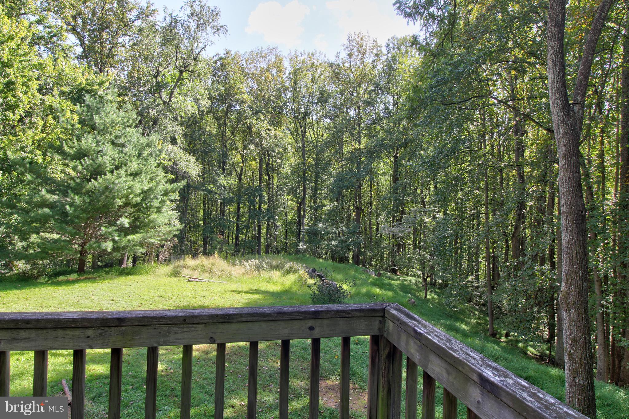 669 Gid Brown Hollow Road Washington, VA 22747 - Photo 30 of 54 Inviting spot to take in the peaceful forest views