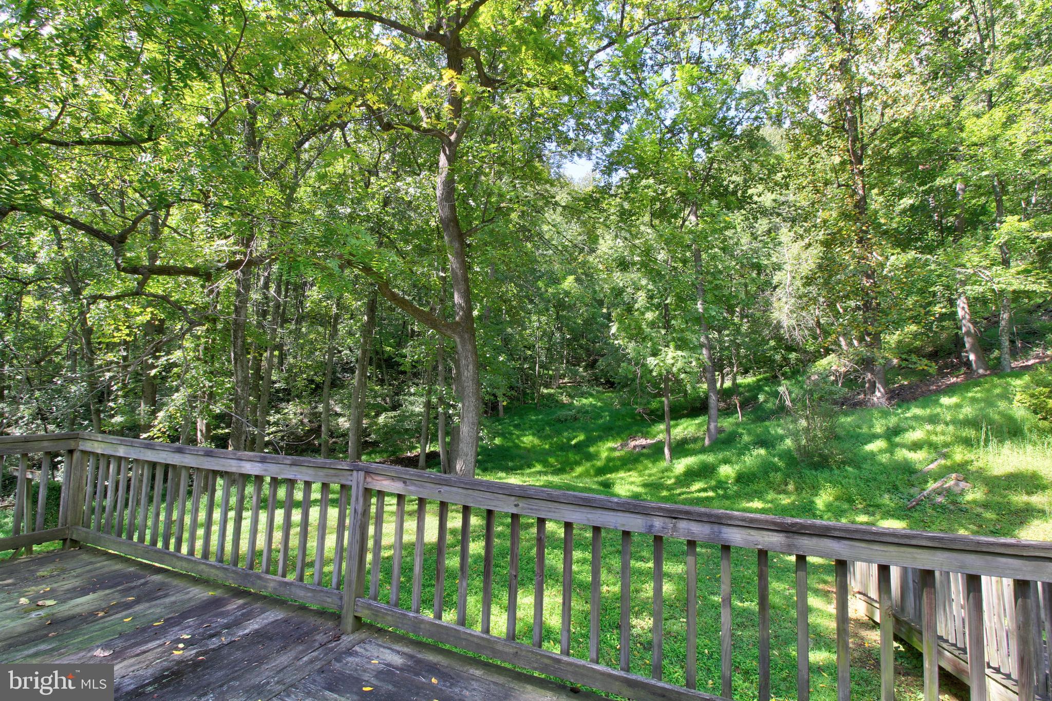 669 Gid Brown Hollow Road Washington, VA 22747 - Photo 31 of 54 Wonderful gathering space amid the mountain views