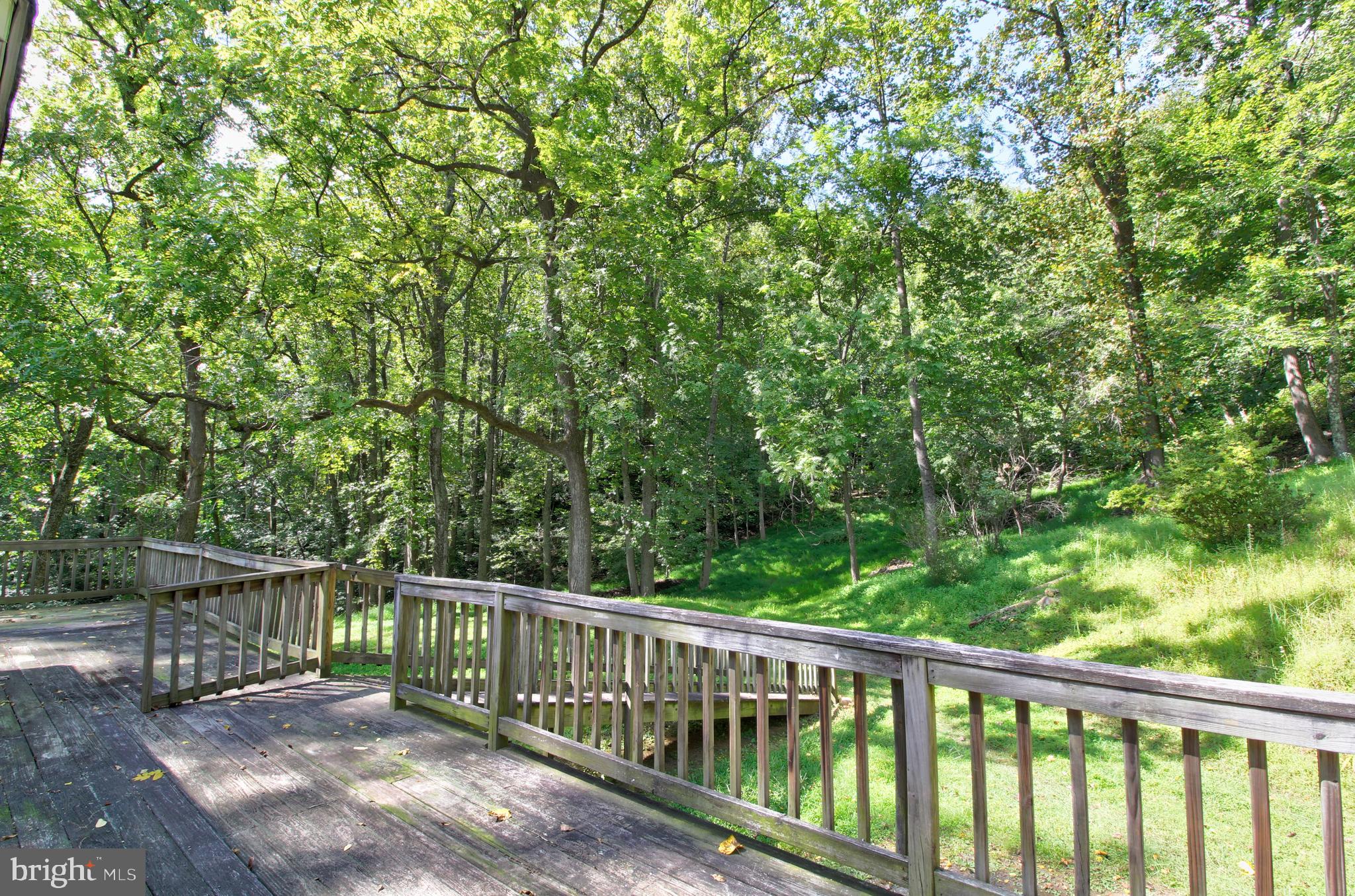 669 Gid Brown Hollow Road Washington, VA 22747 - Photo 32 of 54 Expansive wraparound deck view - untouched forest