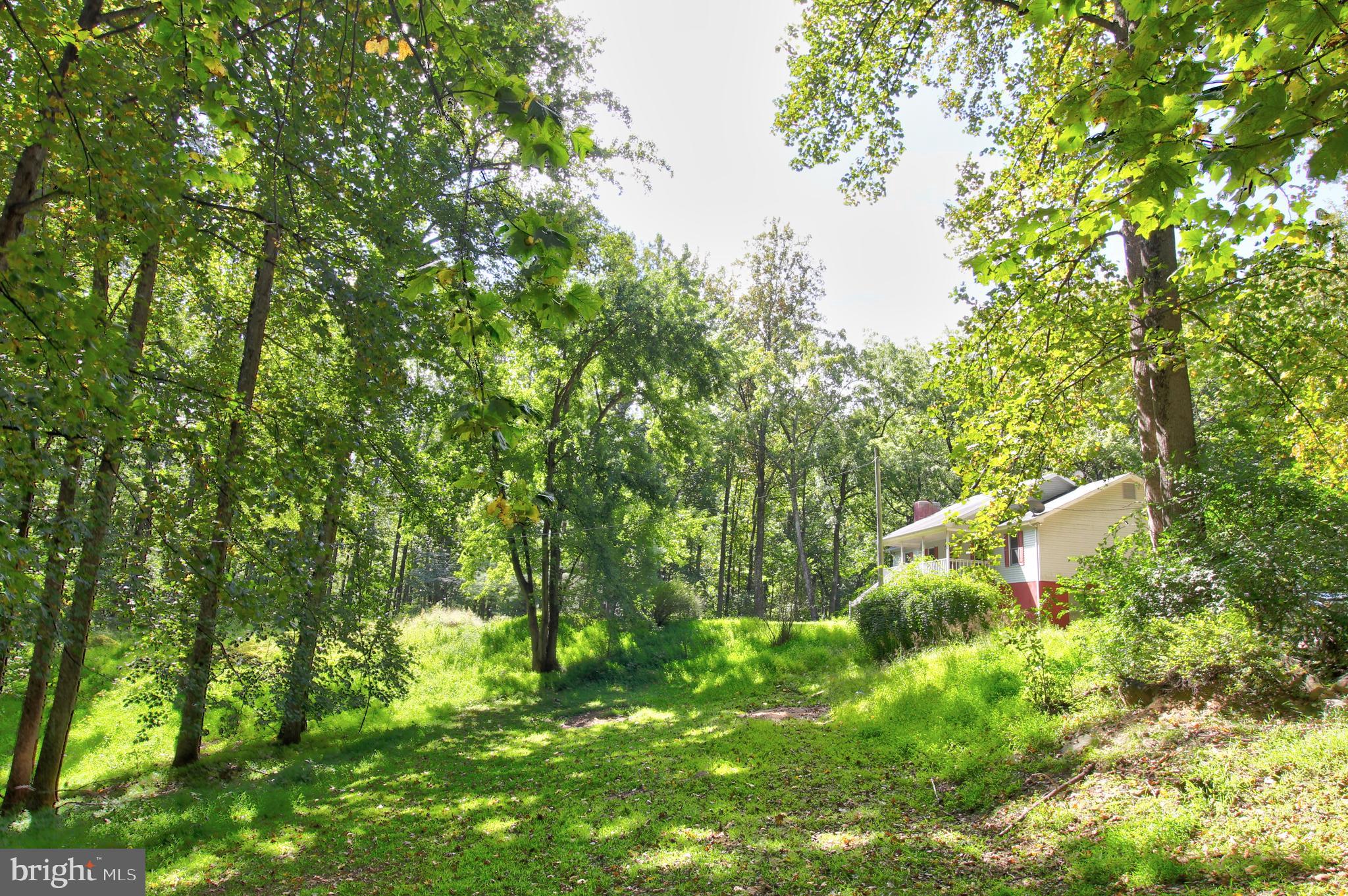 669 Gid Brown Hollow Road Washington, VA 22747 - Photo 36 of 54 A rewarding climb to your own secluded retreat