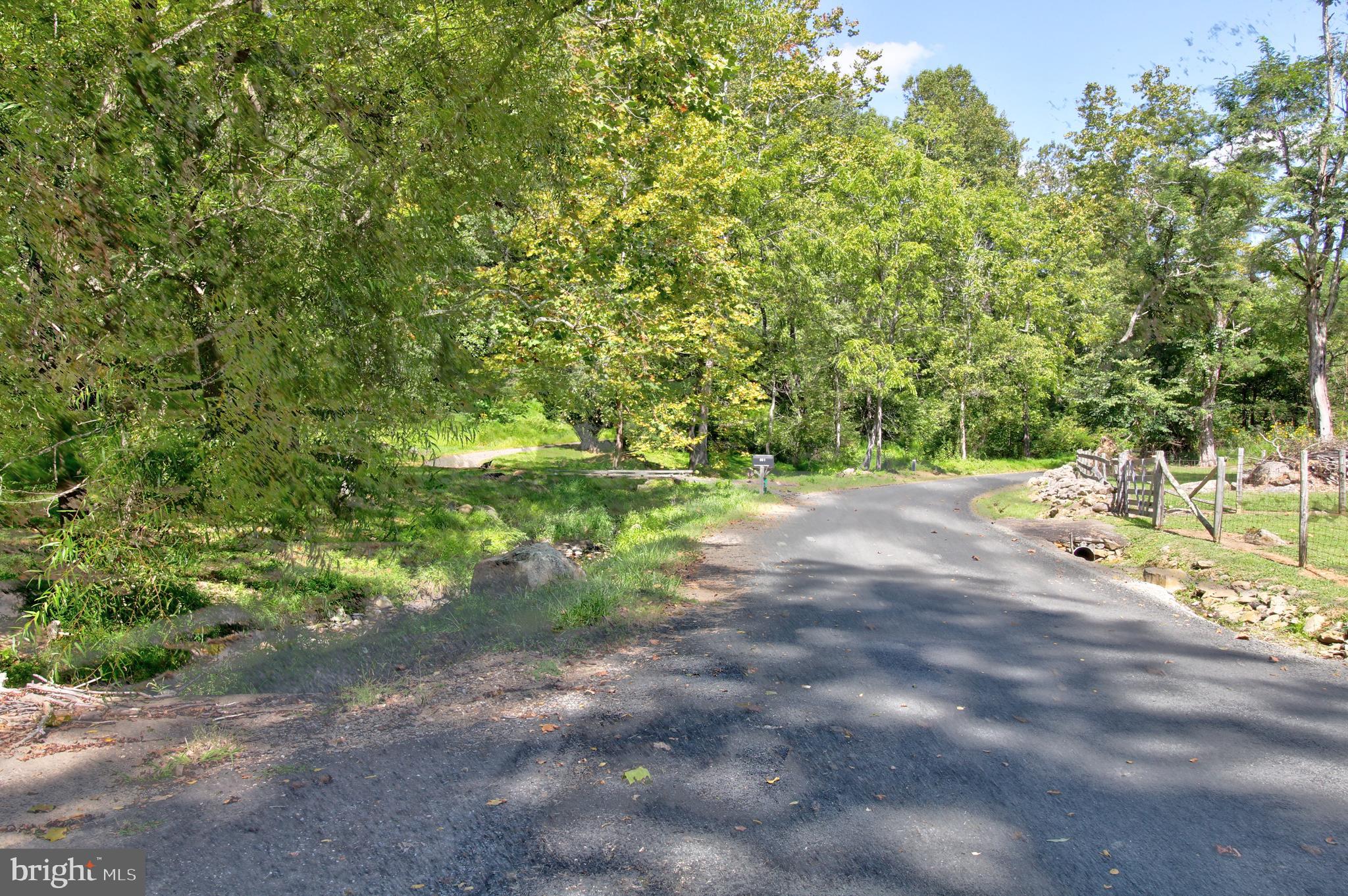 669 Gid Brown Hollow Road Washington, VA 22747 - Photo 38 of 54 Quiet driveway leads to total privacy at the top