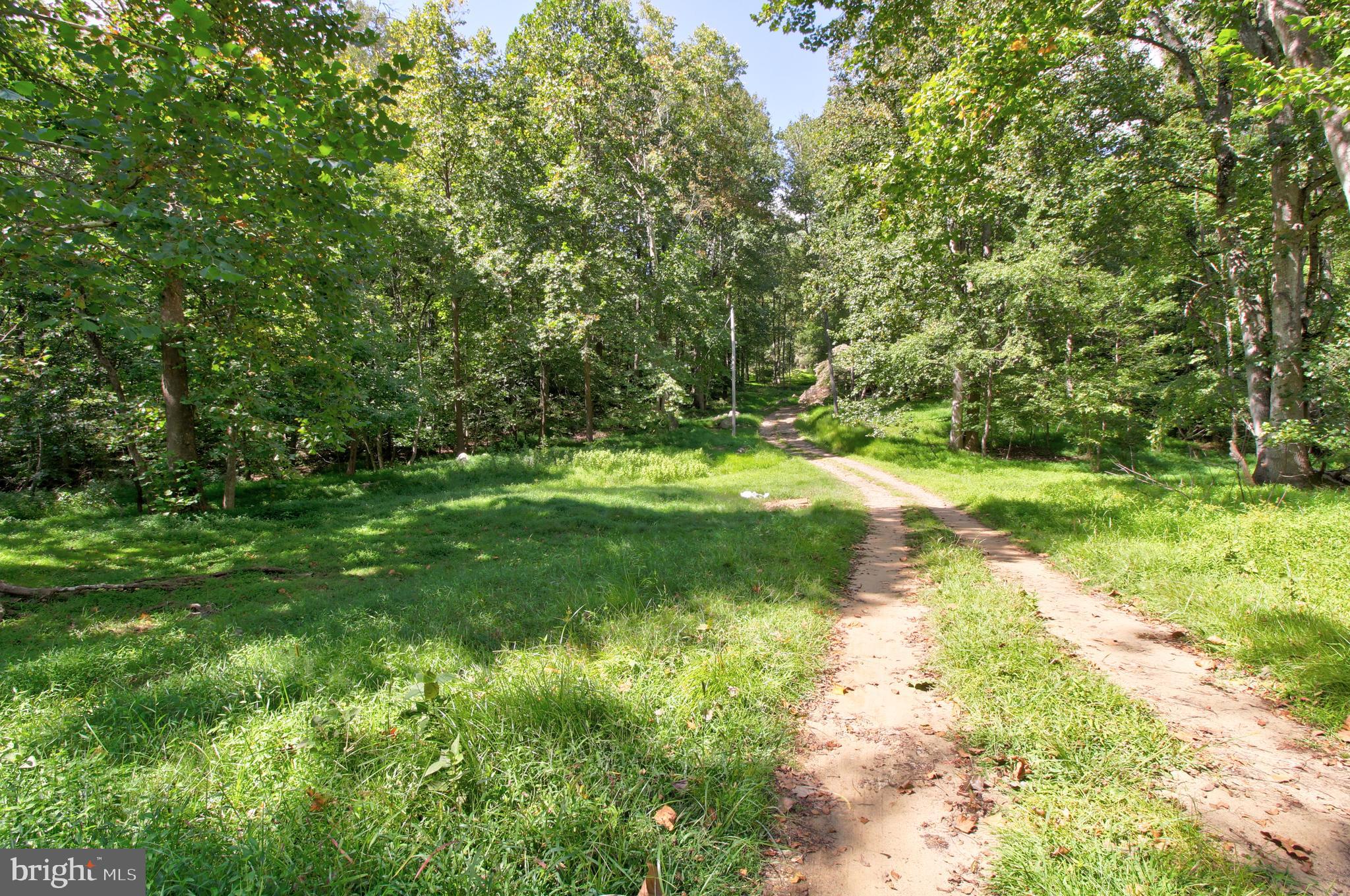 669 Gid Brown Hollow Road Washington, VA 22747 - Photo 41 of 54 Surrounded by untouched forest and natural beauty