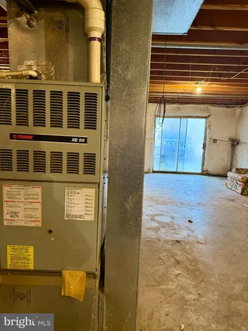 a view of a yard with plants and large trees