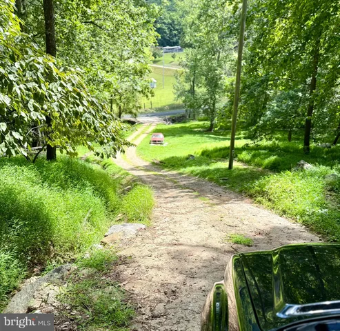 a view of backyard space