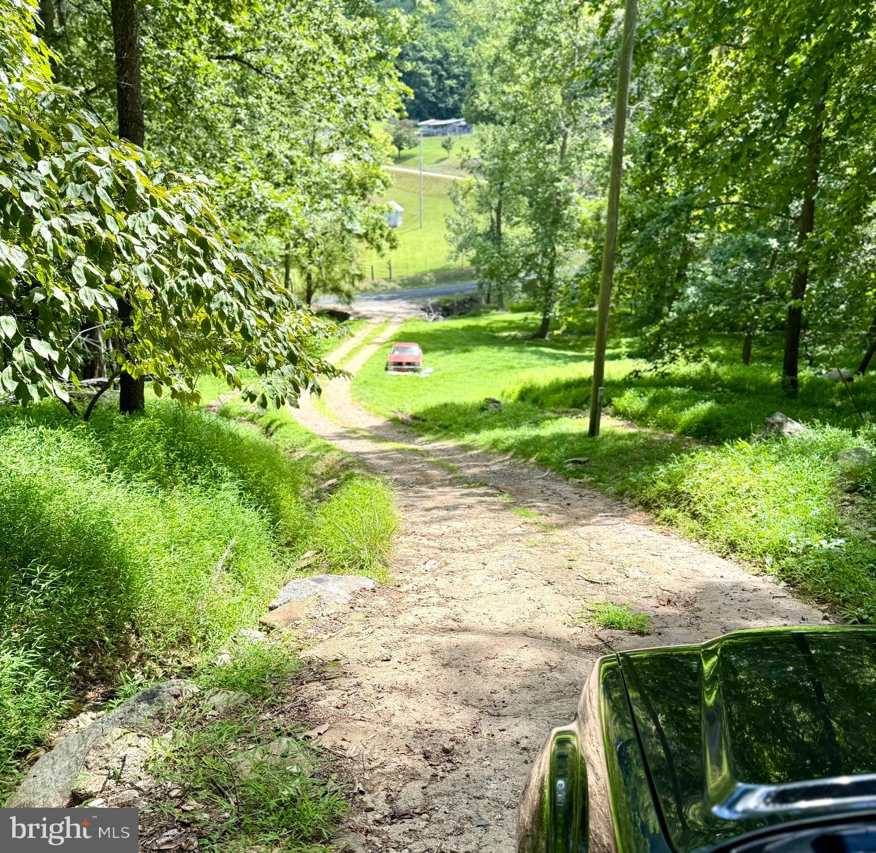 669 Gid Brown Hollow Road Washington, VA 22747 - Photo 49 of 54 View down part of the private driveway