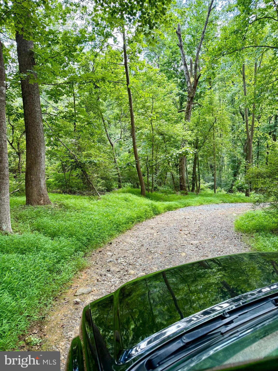 669 Gid Brown Hollow Road Washington, VA 22747 - Photo 50 of 54 Rewarding climb to your own secluded retreat