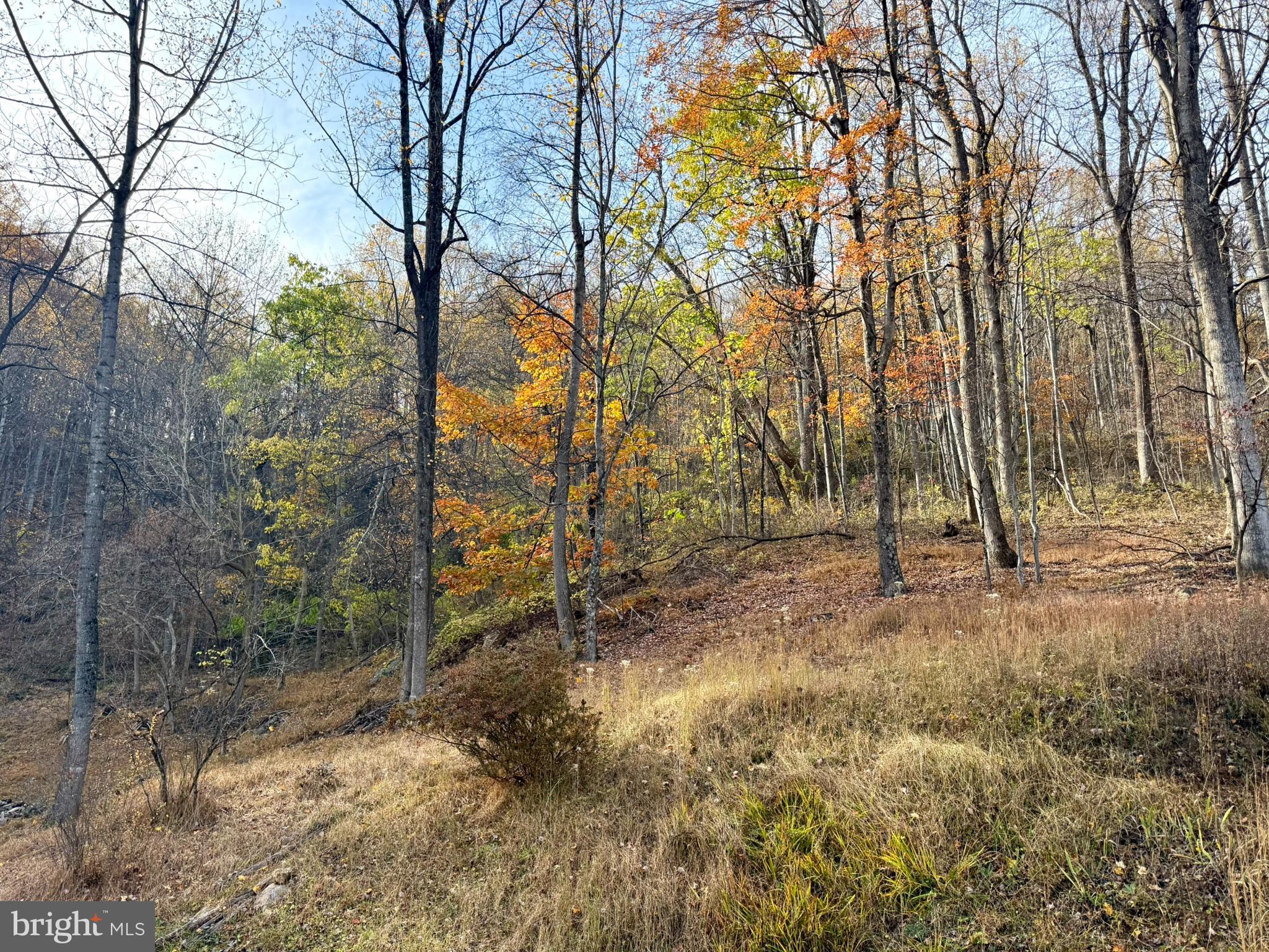 669 Gid Brown Hollow Road Washington, VA 22747 - Photo 51 of 54 Complete seclusion and unspoiled natural beauty
