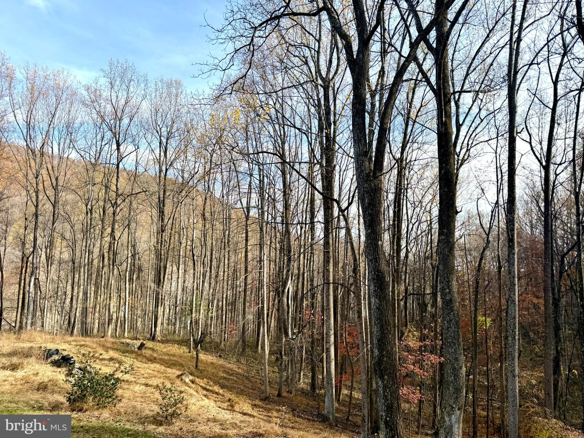 669 Gid Brown Hollow Road Washington, VA 22747 - Photo 53 of 54 The home sits privately among mature trees