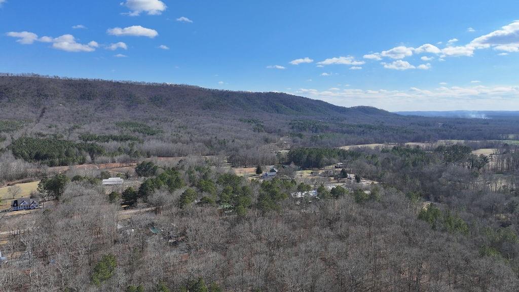 260 Lovers Lane Armuchee, GA 30105 - Photo 66 of 67