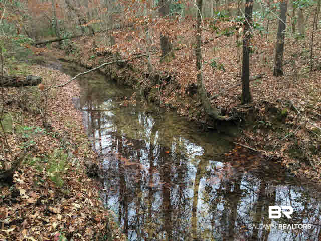 0 Legion Road Camden, AL 36726 - Photo 4 of 9