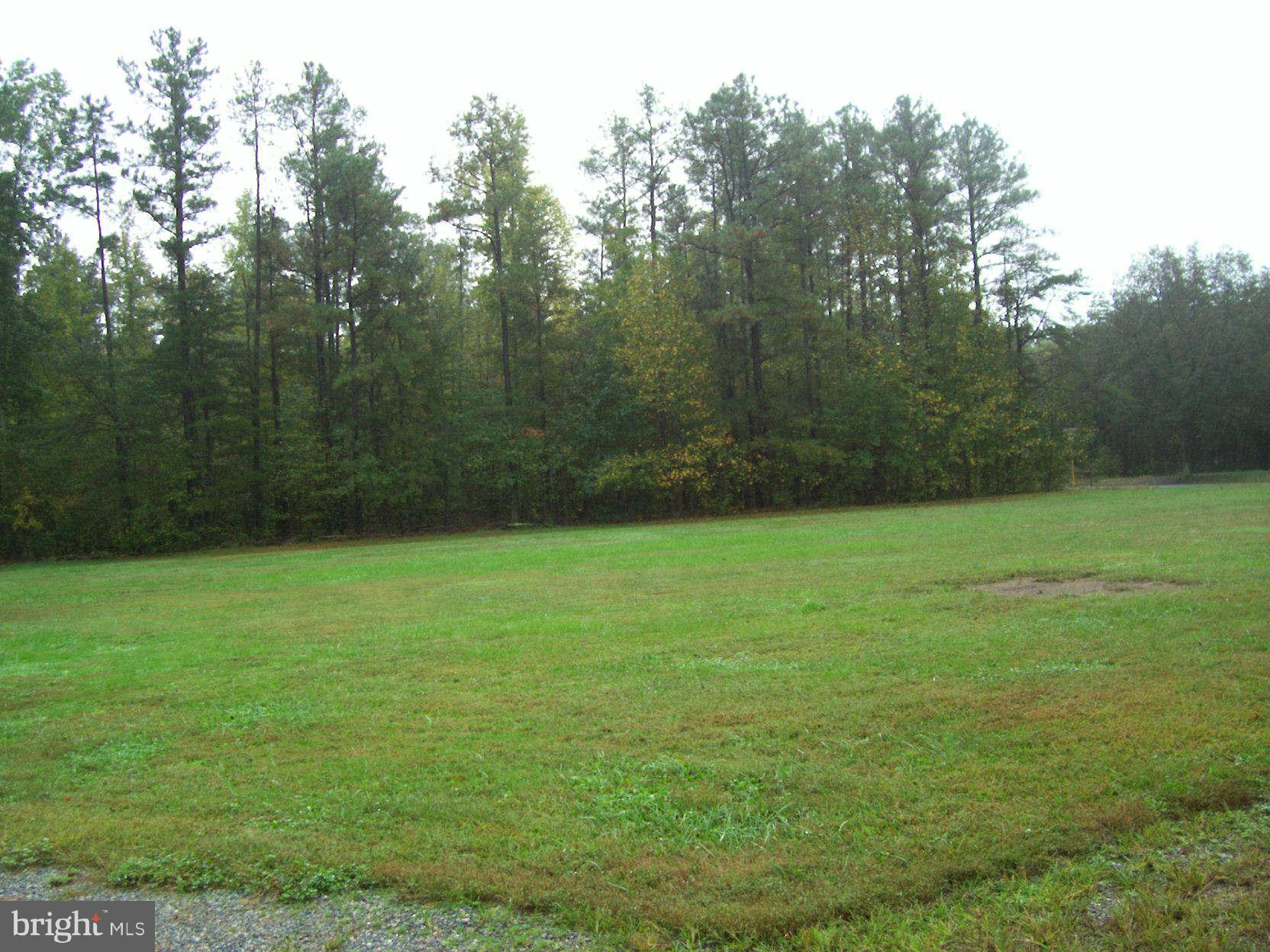 29231 Sunshine Road Ruther Glen, VA 22546 - Photo 25 of 29 Exterior (Rear)