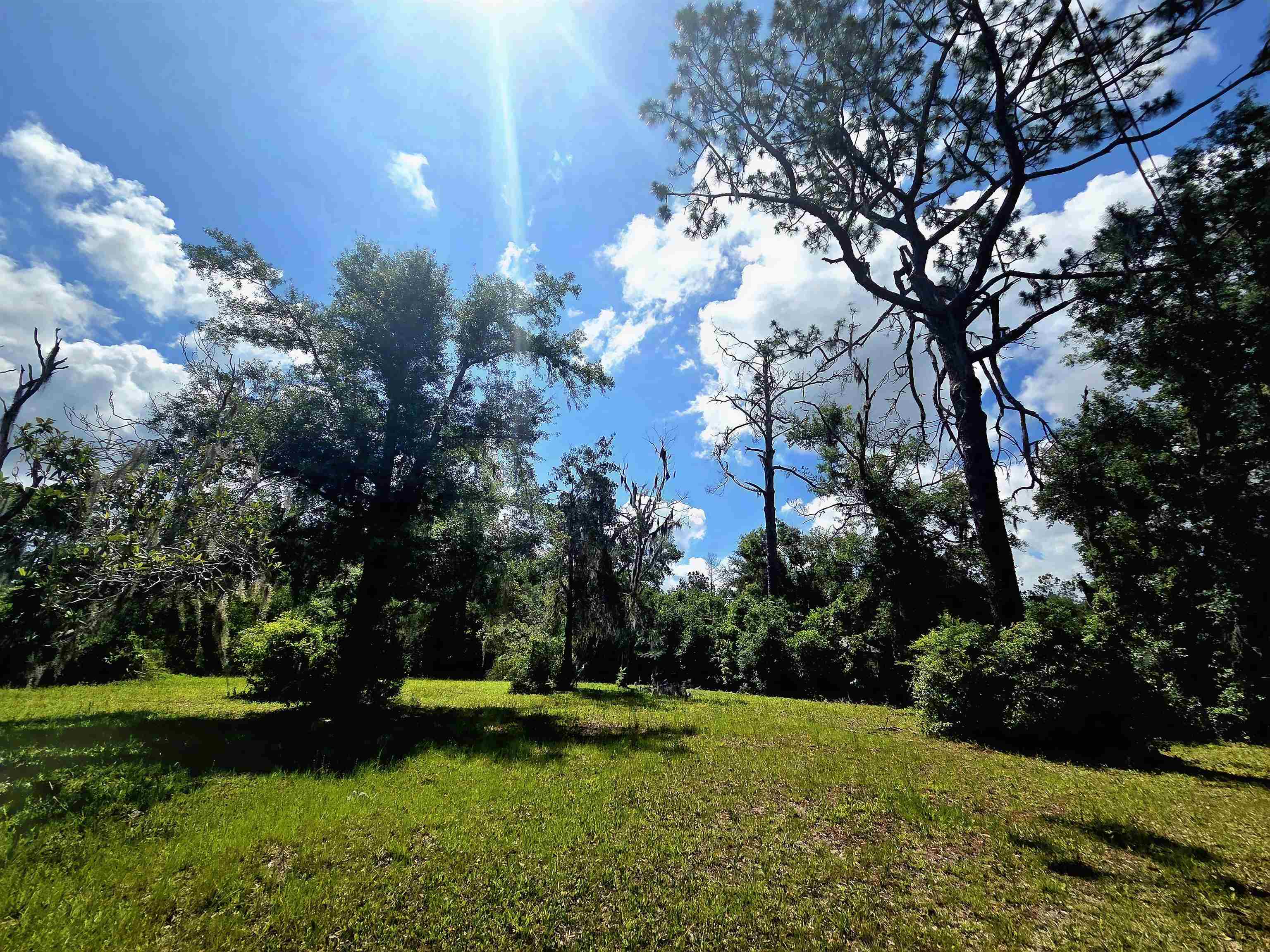 6-8 North Washington Street Perry, FL 32347 - Photo 8 of 15