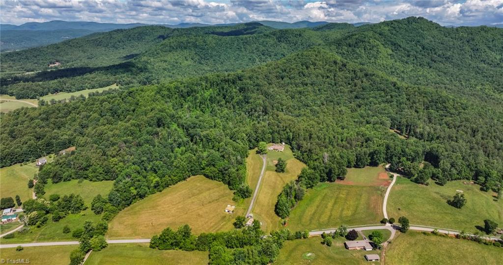 Tbd Shingle Gap Road Purlear, NC 28665 - Photo 8 of 20